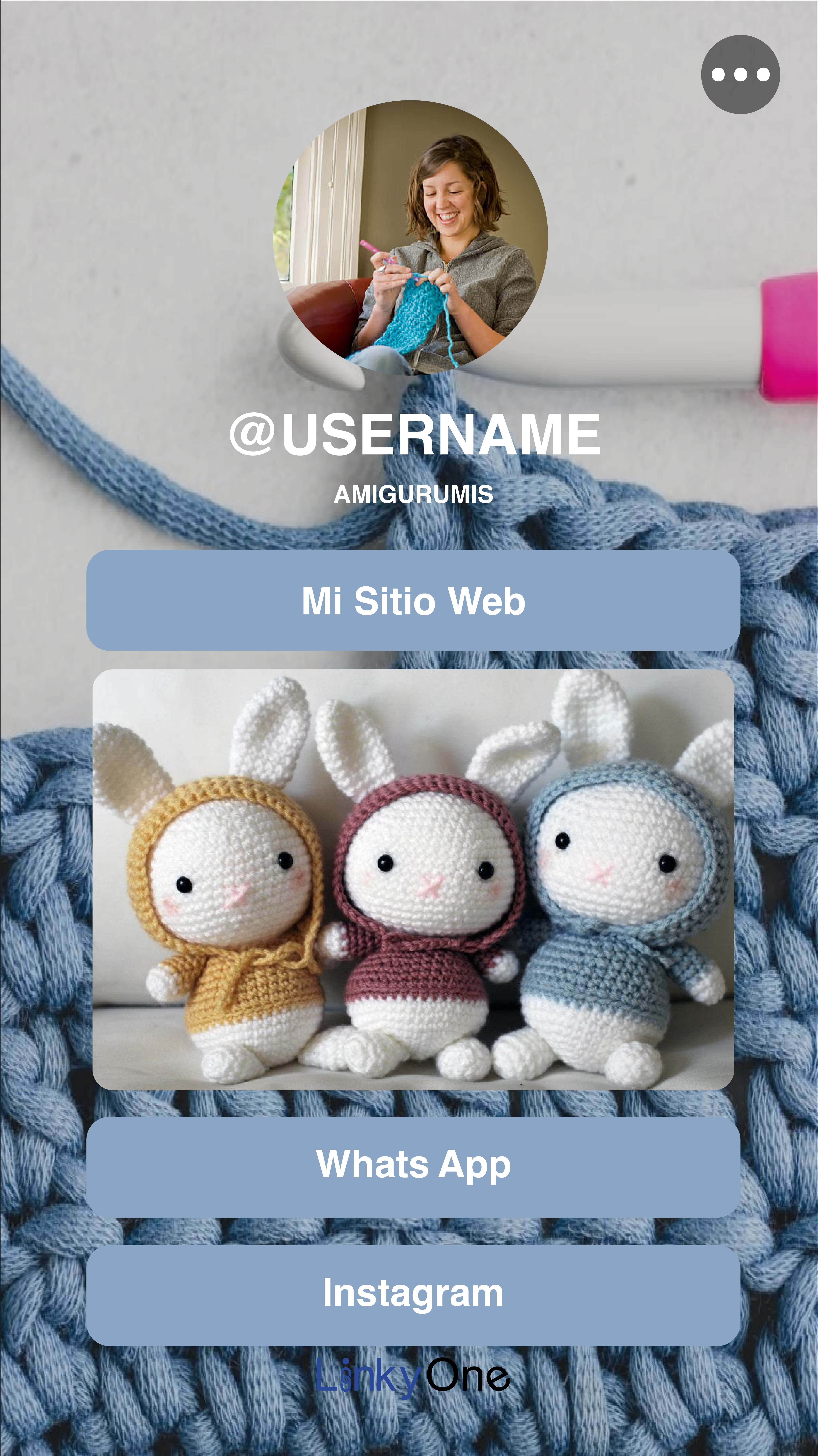 Imagen ilustrativa de LinkyOne